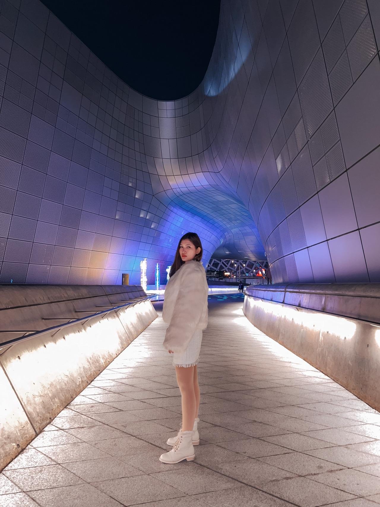 Traveler Experience